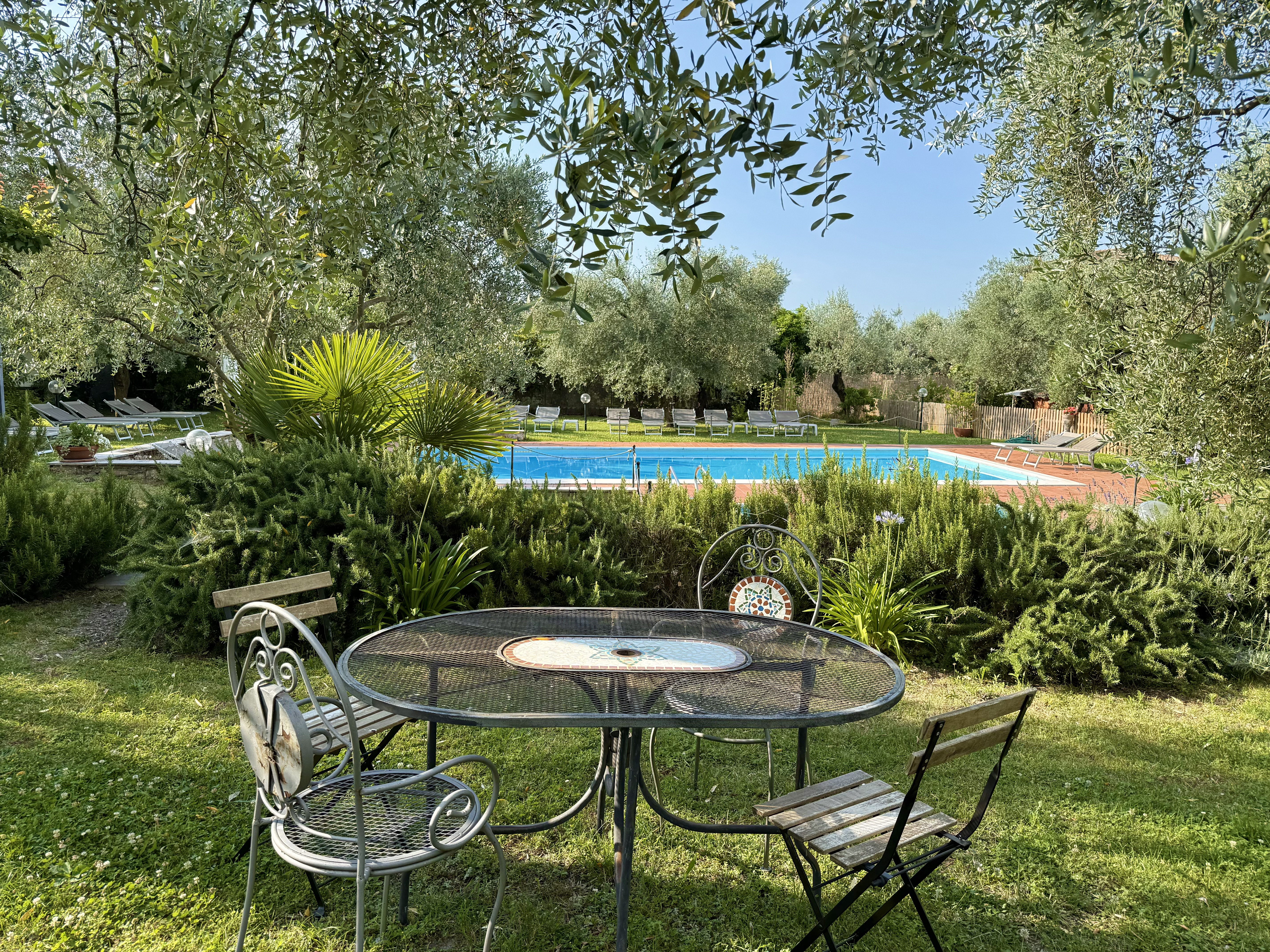 Olive garden at Borgo Antico Apartments, Lake Garda