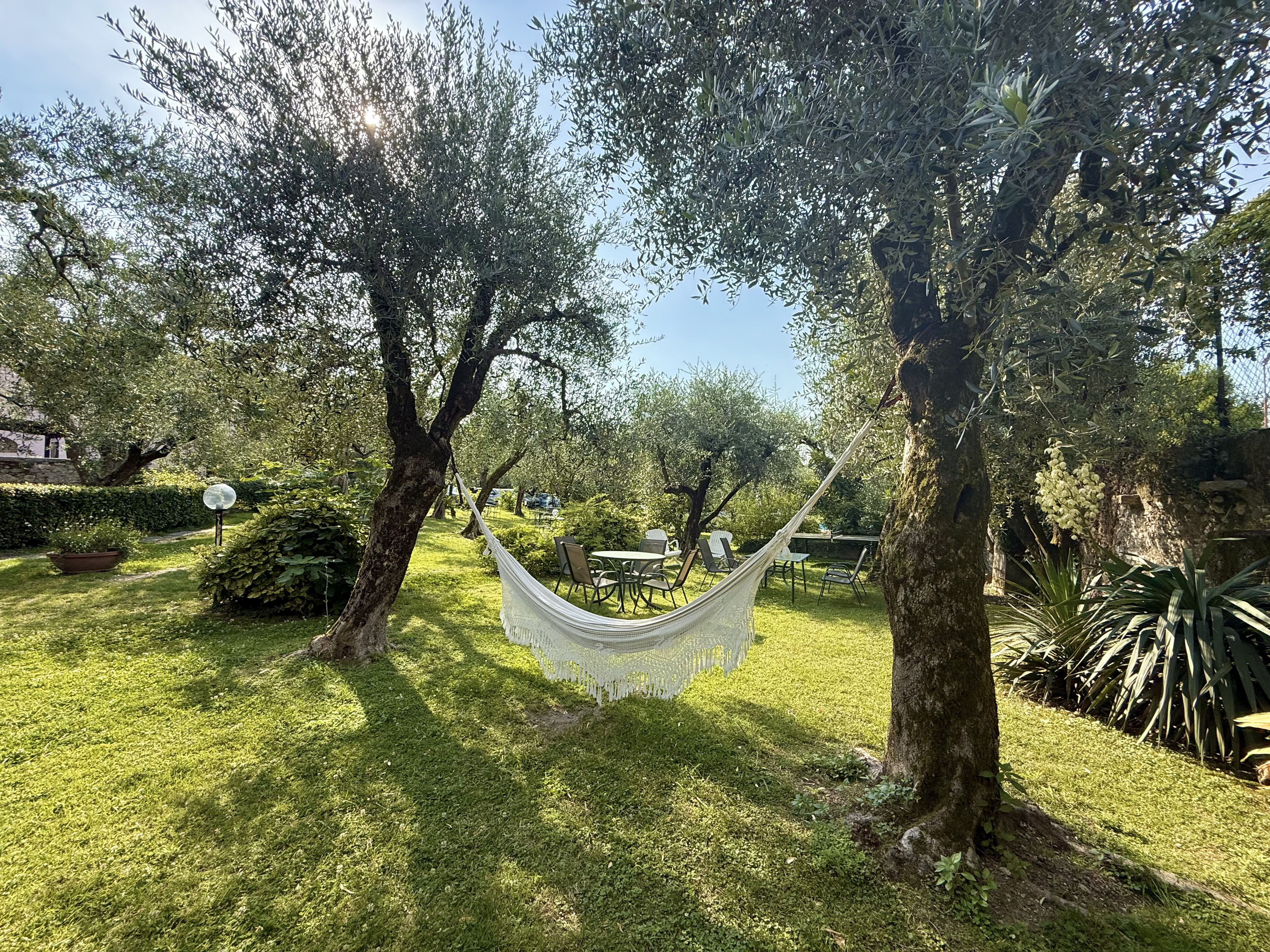 Olive garden at Borgo Antico Apartments