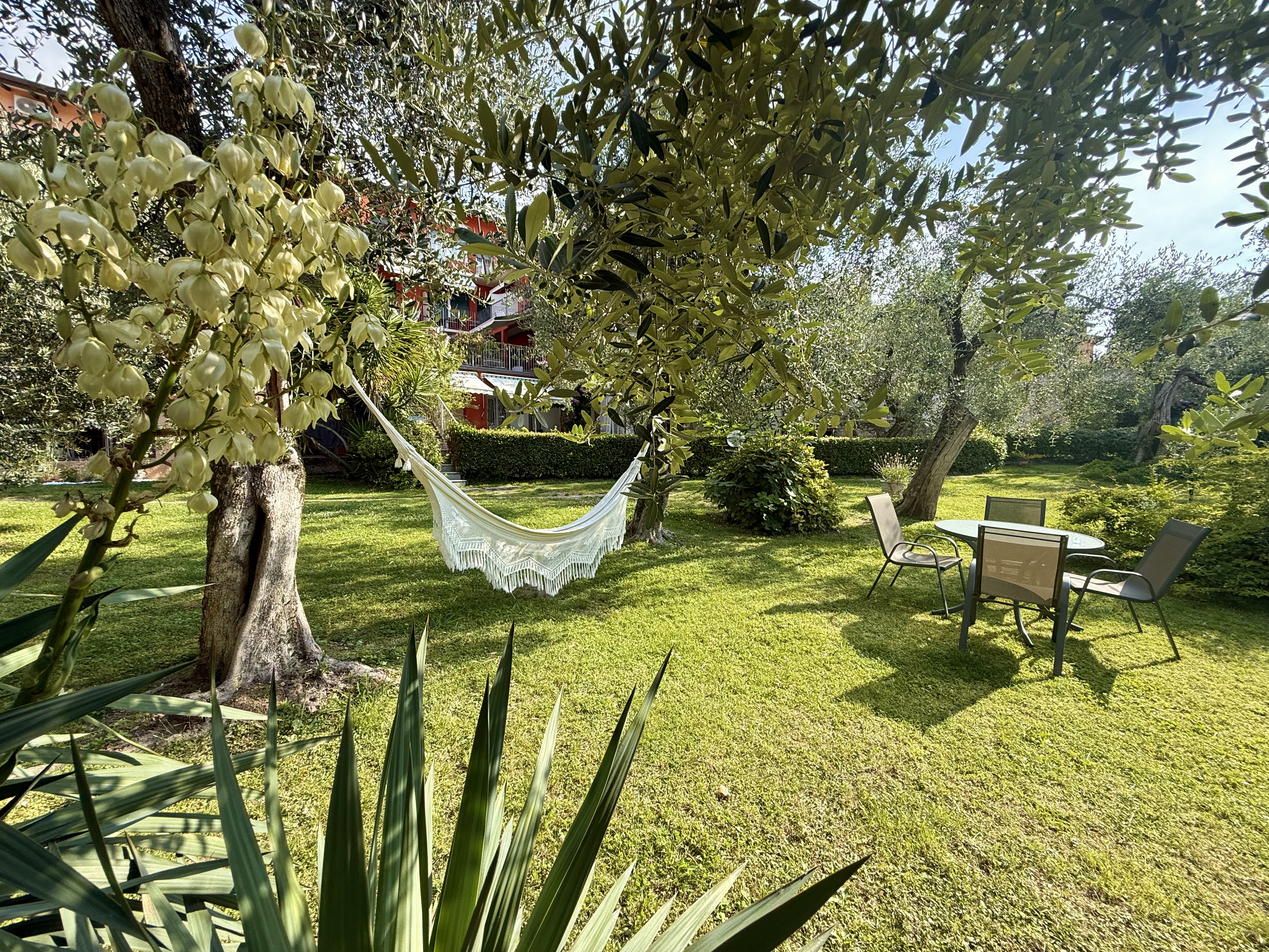 Olive garden at Borgo Antico Apartments