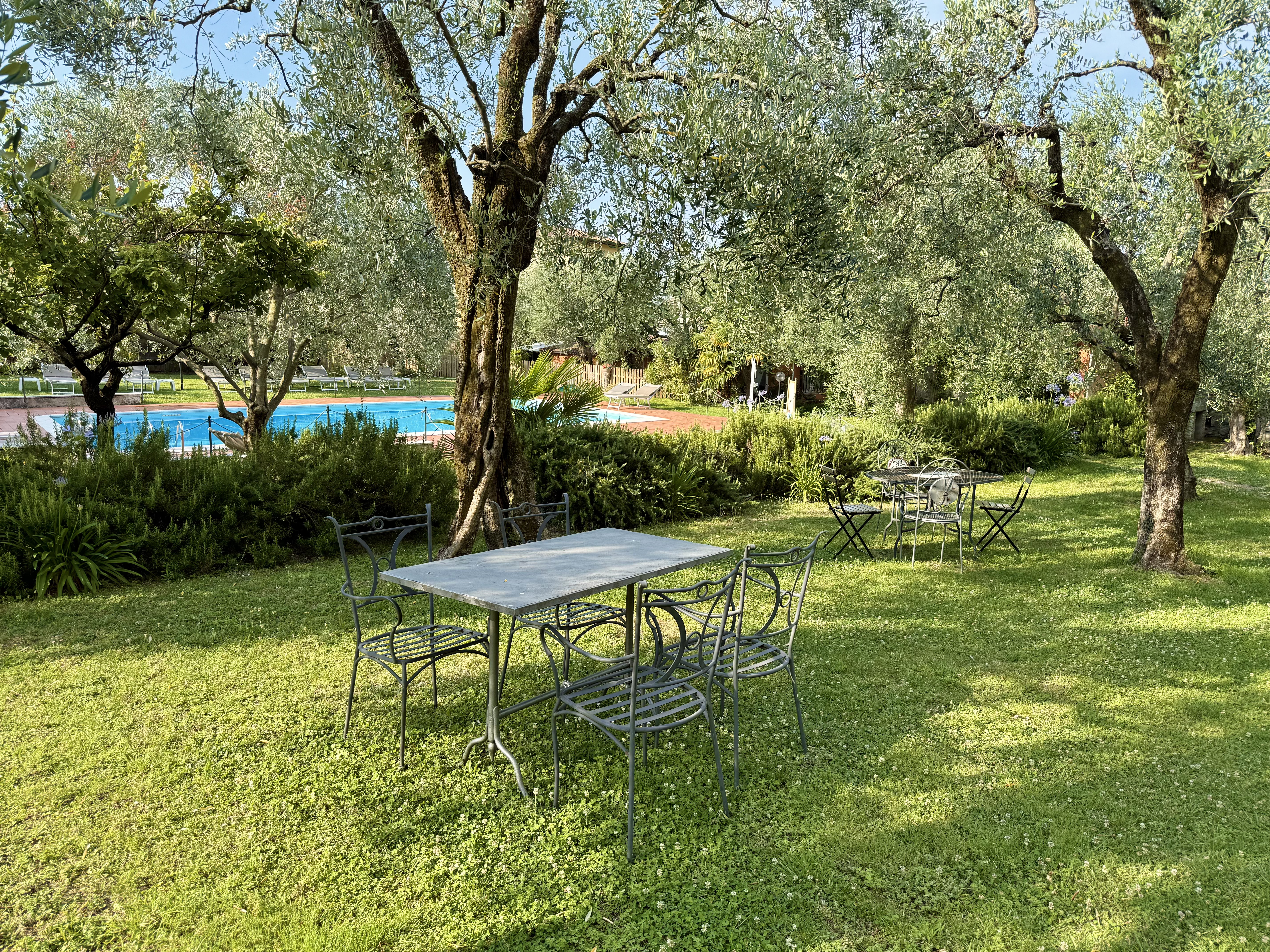 Olive garden at Borgo Antico Apartments